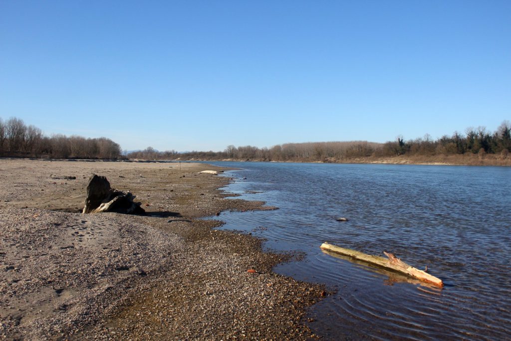 Foto del 18 Febbraio 2020 del Fiume Po del fotografo naturalista Paolo Panni nel territorio del Comune di Polesine Zibello (PR)