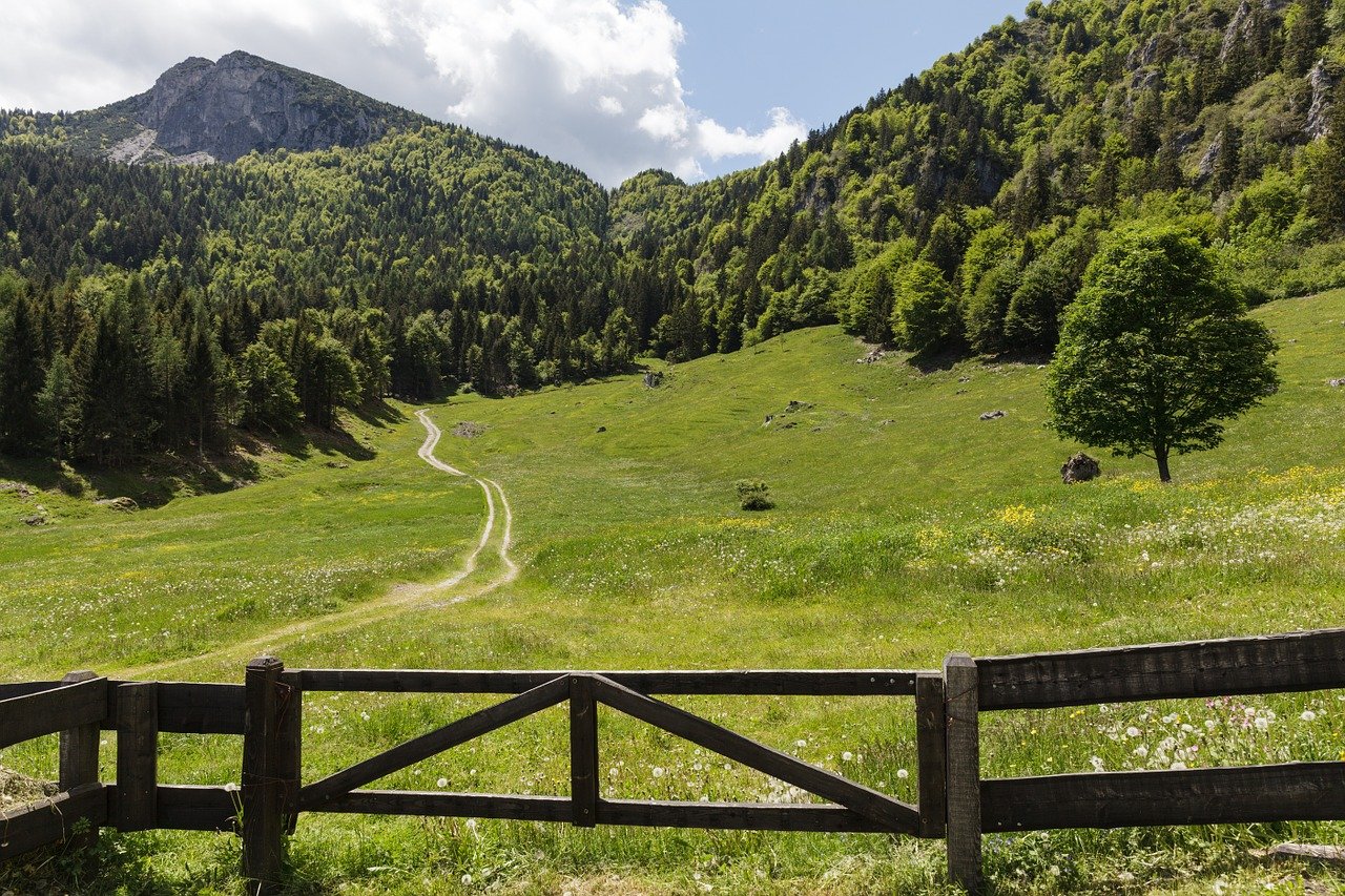 trento, garda mountains, alm