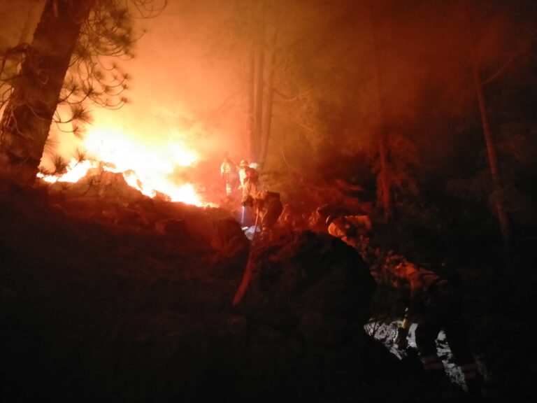 Incendio a Tenerife più di 3000 ettari interessati dalle fiamme