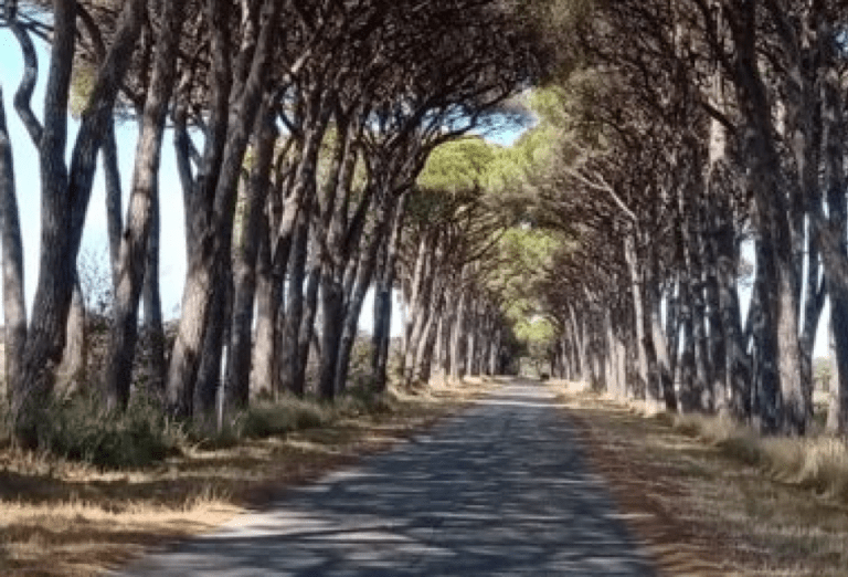 Toscana: una base militare al posto di un area agricola di 70 ettari