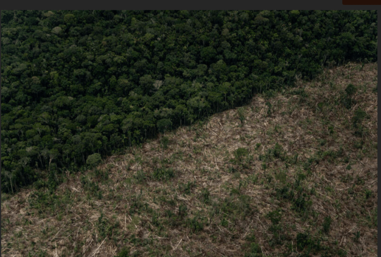 Deforestazione in Brasile inarrestabile nei primi mesi del 2022
