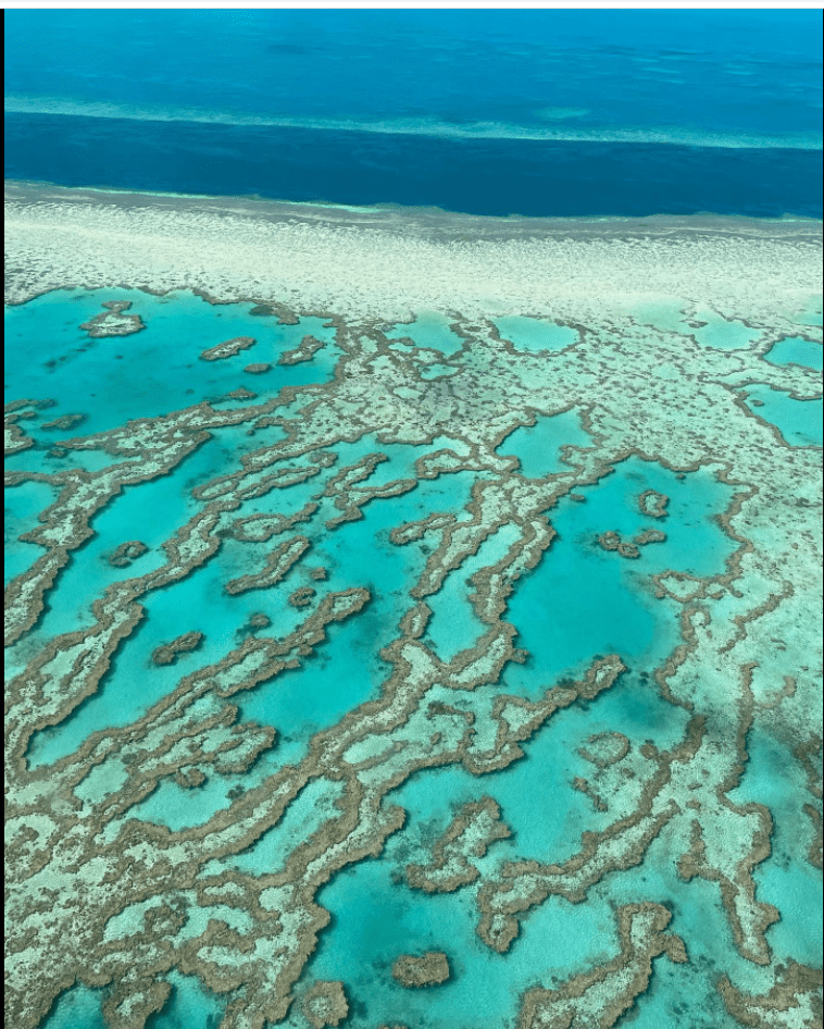 Australia: è sbiancato il 91% dei coralli della Grande barriera