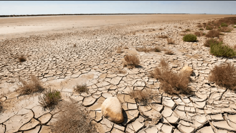 Crisi idrica: prendendo esempio dallo stato di Israele