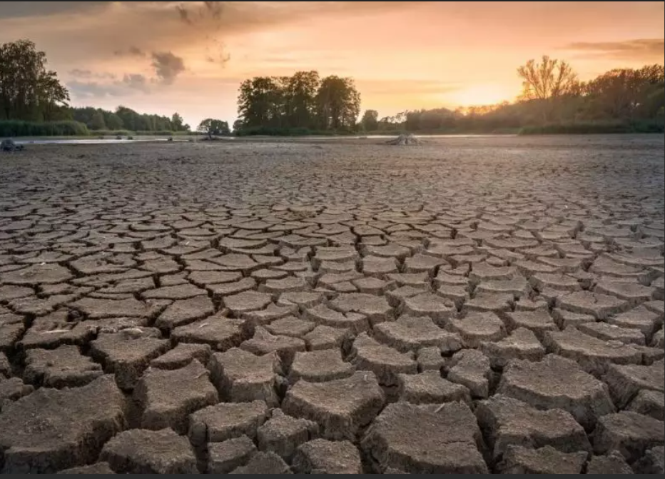 Clima: la siccità di questi mesi era stata prevista, ma è mancata una “visione d’insieme”