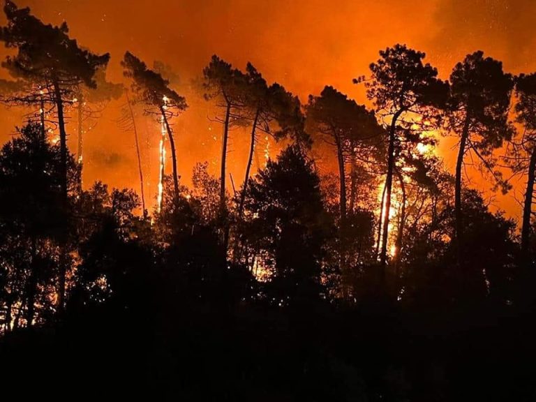 Incendi Giornate d’Inferno in varie zone della Penisola e in Europa.