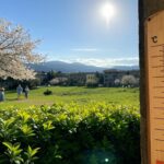 Anticiclone Prevalente: Sole, Temperature Primaverili, ma Cambiamenti nel Weekend