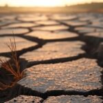 Temperature Marine Record nel Mediterraneo: un Allarme per Clima e Risorse Idriche