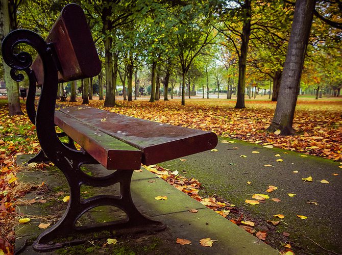 Autunno Meteorologico: significato, date e differenze con l’Autunno Astronomico