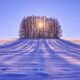 Solstizio d’Inverno cose da sapere