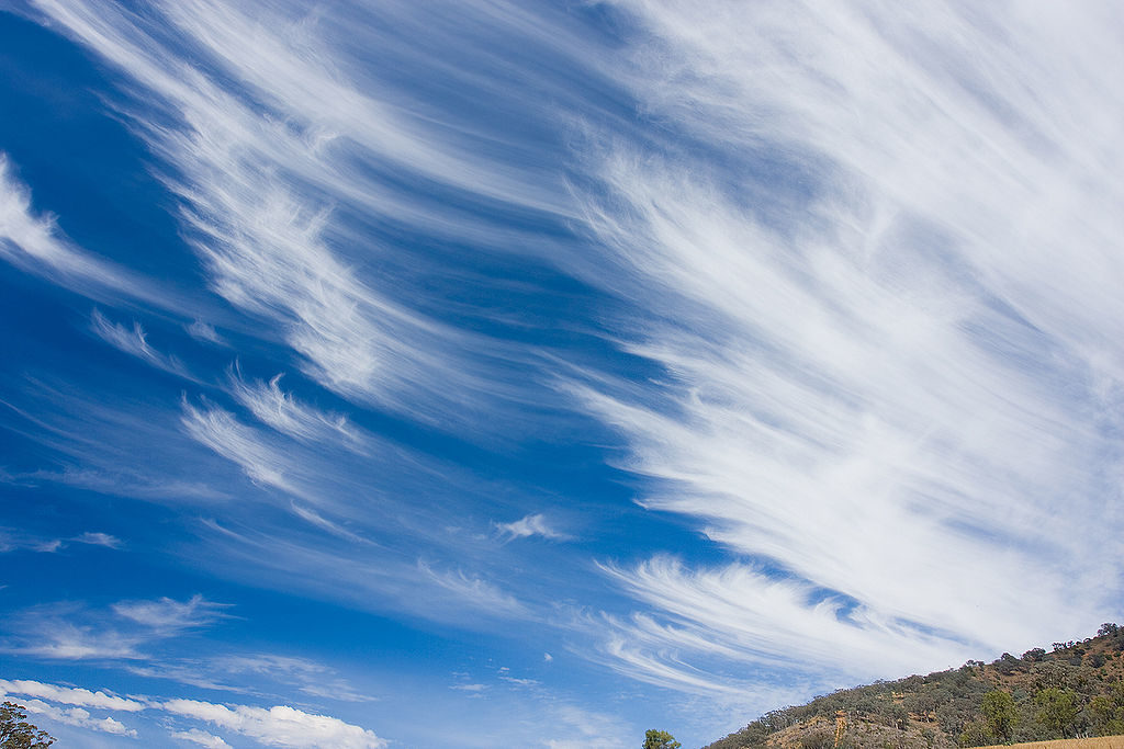 Cirri – cirrus