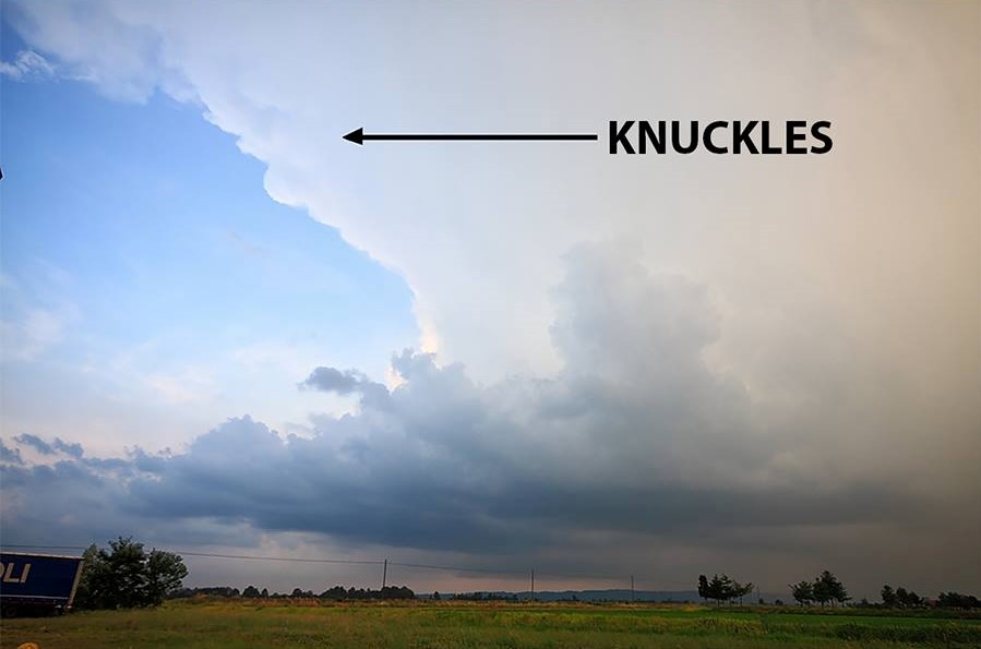 Knucles