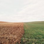 Giornata Mondiale del Suolo World Soil Day