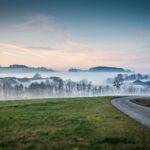 meadow, road, fog