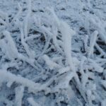 Che cosa è la Galaverna?