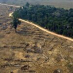 La Foresta Amazzonica ora emette CO2