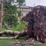 Forte Vento e Piogge in Trentino Alto Garda