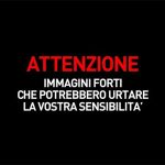 Balene e Delfini massacrati alle Isole Faroe