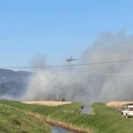 Incendio di Sterpaglie a San Vincenzo 17 Aprile 2022